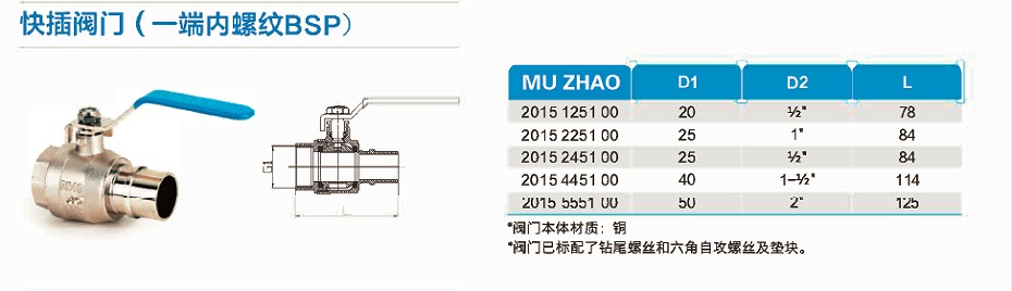 一端内螺纹BSP快插阀门